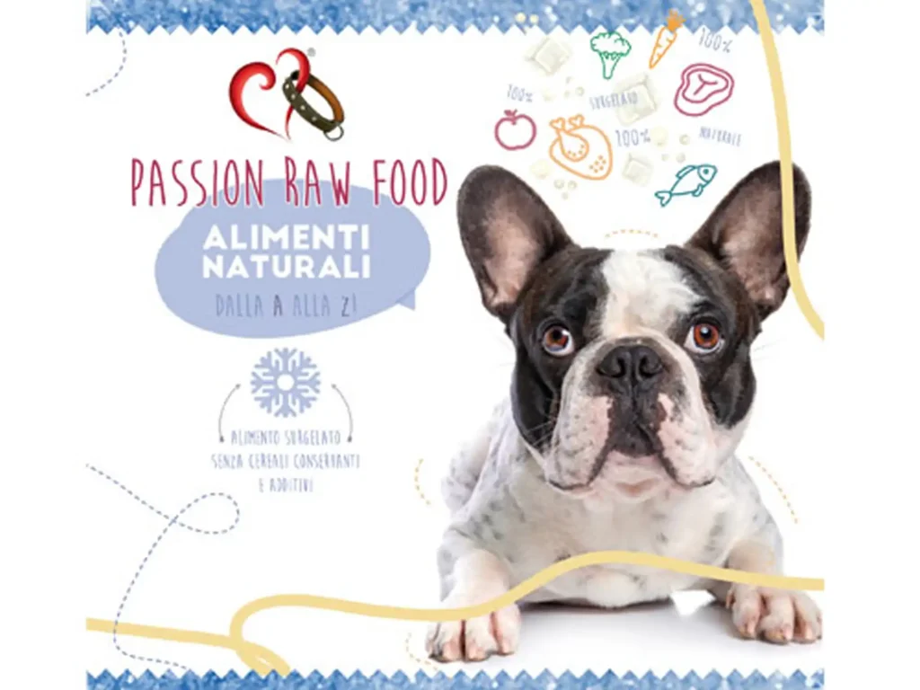 Brand identity pet food - ecommerce web design